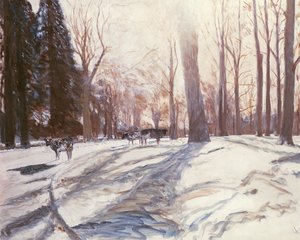 ブロードランドの雪 作： Paul Stewart